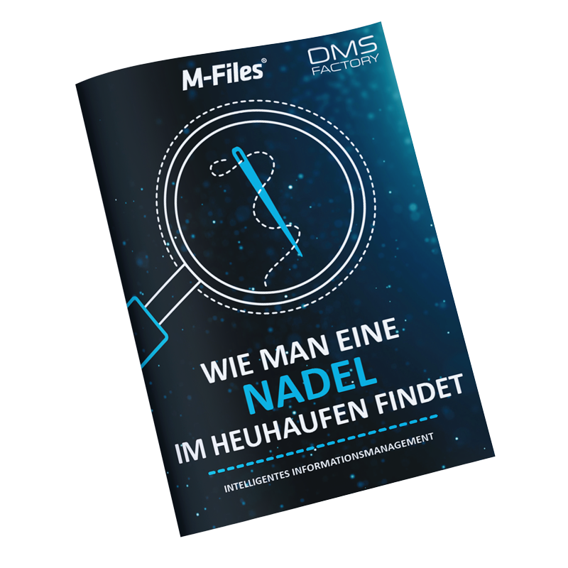 Finden Sie die Nadel im Heuhaufen - eBook