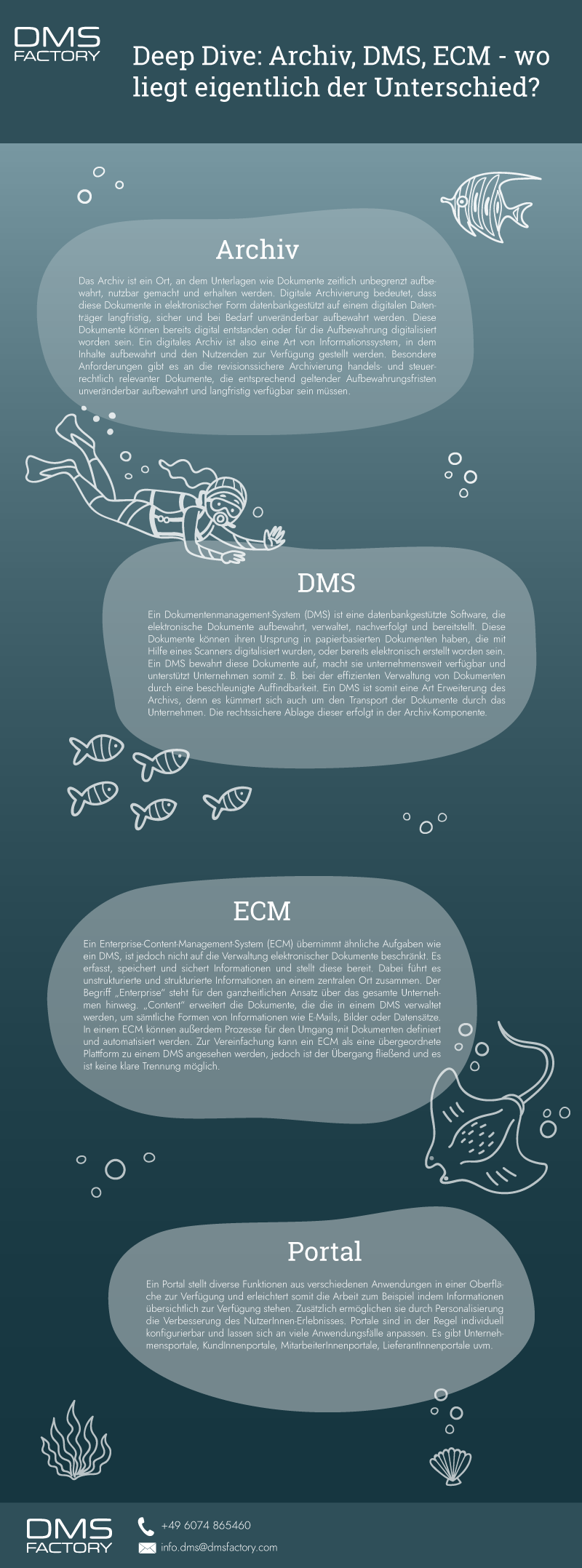 Infografik: Der Unterschied zwischen einem Archiv, DMS und ECM